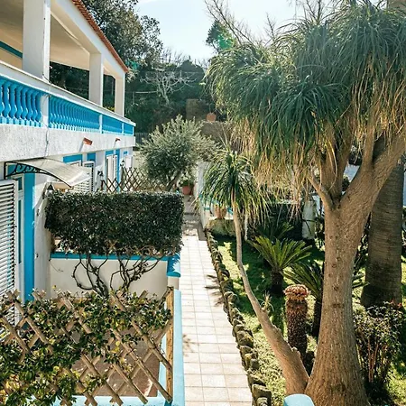 Appartamenti Ischia Casa Don Peppe Forio di Ischia Exterior foto