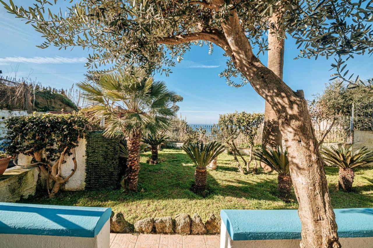 Ischia Casa Don Peppe Forio (Isola d'Ischia)