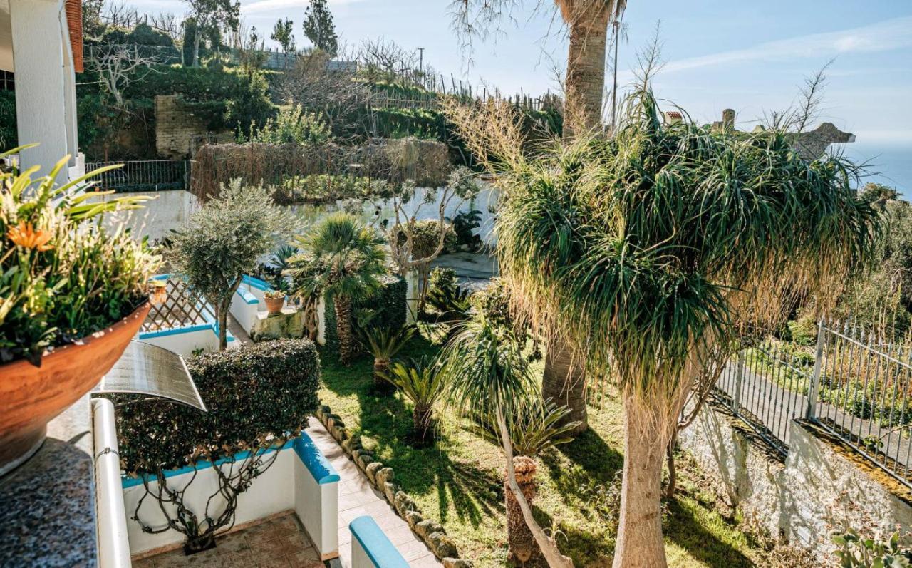 Ischia Casa Don Peppe Forio (Isola d'Ischia)